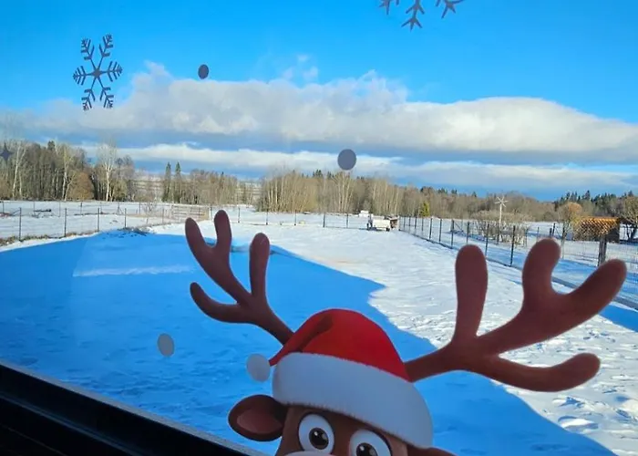 Goralski Cisza Lesna